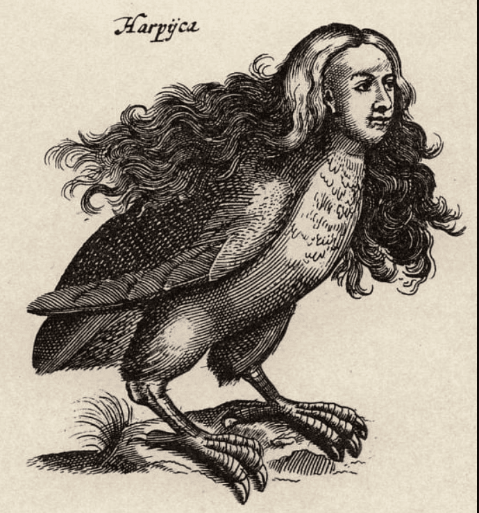 Arpía Ulisse Aldrovandi (Public Domain)