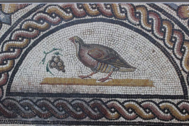 Mosaico Perdiz. Saint Romain-en-Gal